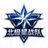 北极星战队Logo