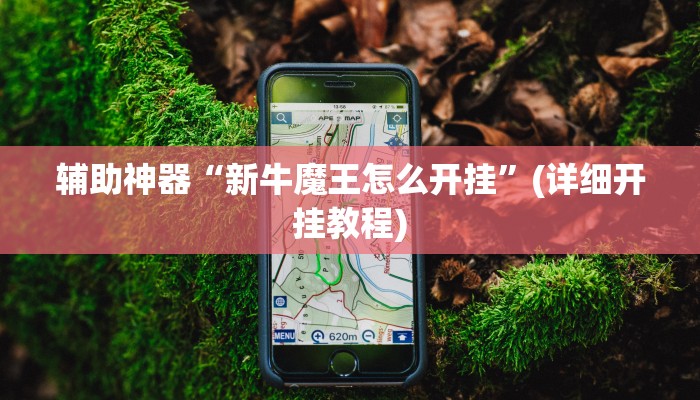 辅助开挂工具“沐沐福建麻将确实真的有挂”(详细开挂教程)