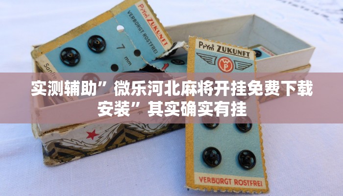 实测辅助”hhpoker通用挂”其实确实有挂