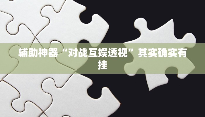 辅助神器“对战互娱透视”其实确实有挂