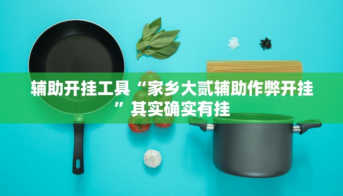 辅助开挂工具“家乡大贰辅助作弊开挂”其实确实有挂