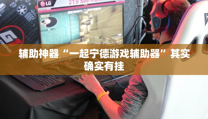 辅助神器“一起宁德游戏辅助器”其实确实有挂