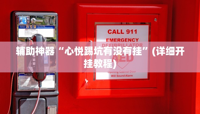 辅助神器“心悦踢坑有没有挂”(详细开挂教程)