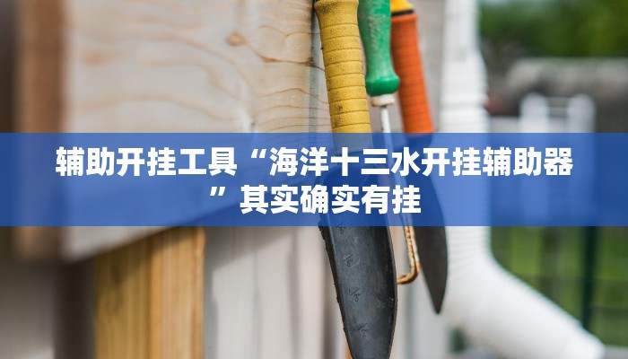 辅助开挂工具“海洋十三水开挂辅助器”其实确实有挂