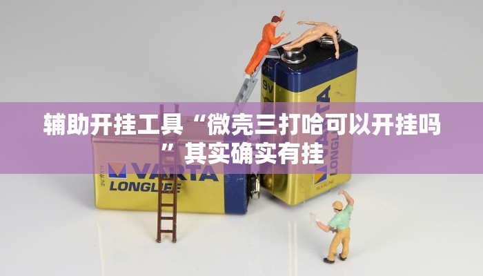 辅助开挂工具“微壳三打哈可以开挂吗”其实确实有挂