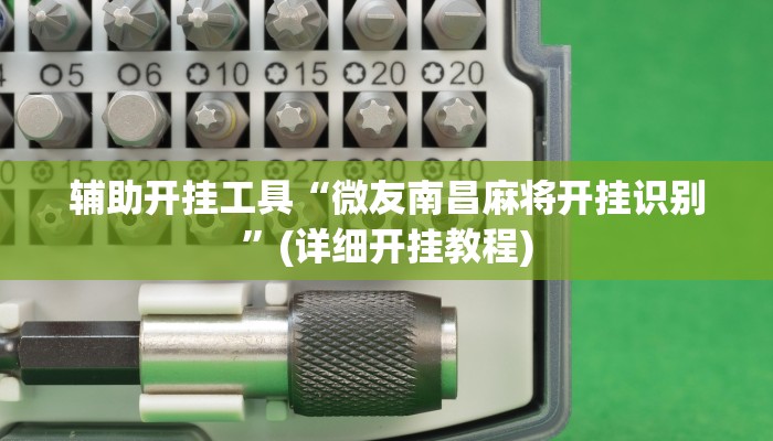 辅助开挂工具“微友南昌麻将开挂识别”(详细开挂教程)