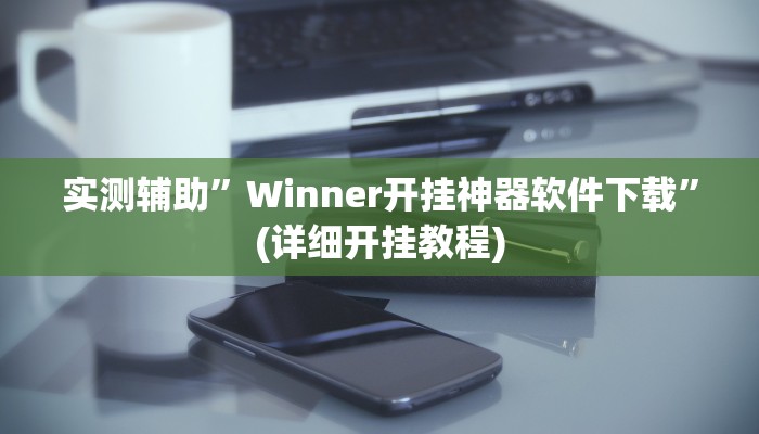 实测辅助”Winner开挂神器软件下载”(详细开挂教程)