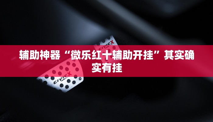 辅助神器“微乐红十辅助开挂”其实确实有挂