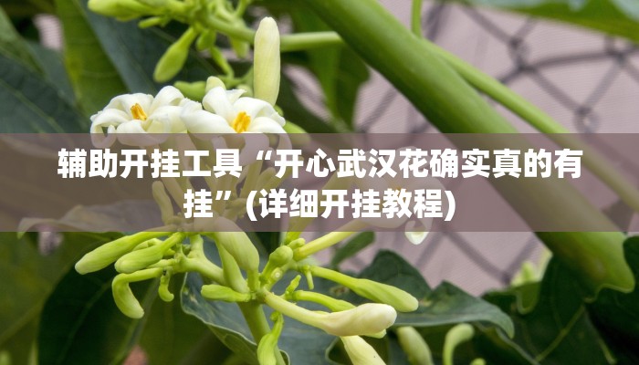 辅助开挂工具“开心武汉花确实真的有挂”(详细开挂教程)