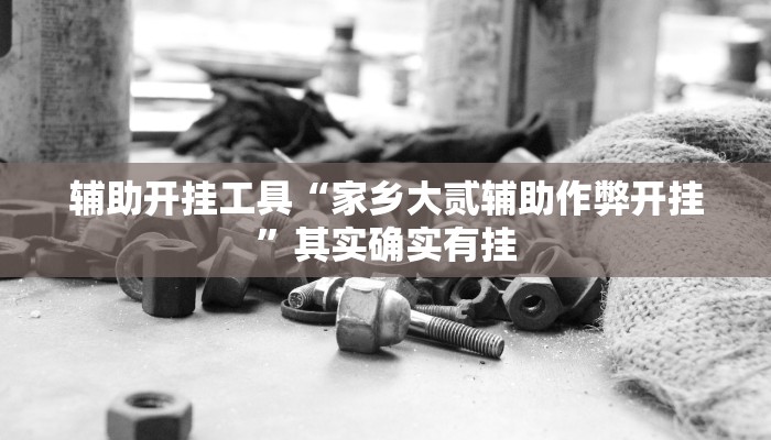 辅助开挂工具“家乡大贰辅助作弊开挂”其实确实有挂