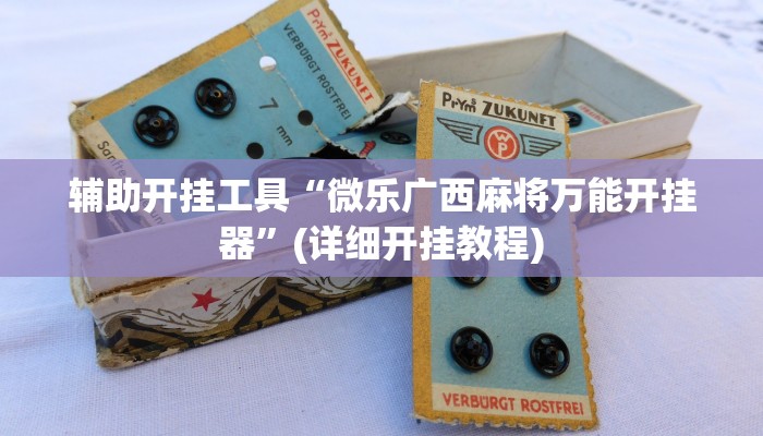 辅助开挂工具“微乐广西麻将万能开挂器”(详细开挂教程)
