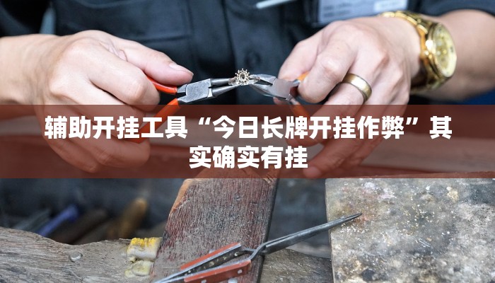 辅助开挂工具“今日长牌开挂作弊”其实确实有挂