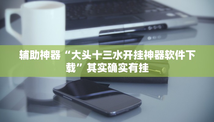 辅助神器“大头十三水开挂神器软件下载”其实确实有挂