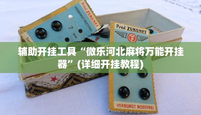 辅助开挂工具“微乐河北麻将万能开挂器”(详细开挂教程)