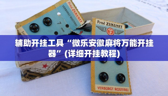 辅助开挂工具“微乐安徽麻将万能开挂器”(详细开挂教程)