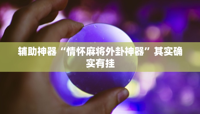 辅助神器“情怀麻将外卦神器”其实确实有挂