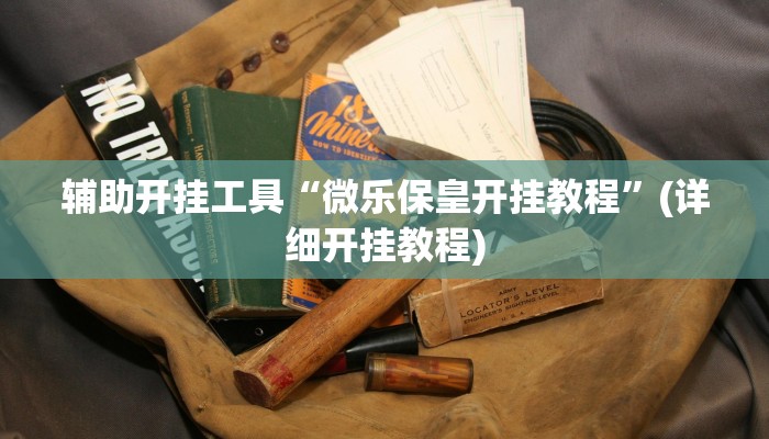 辅助开挂工具“微乐保皇开挂教程”(详细开挂教程)