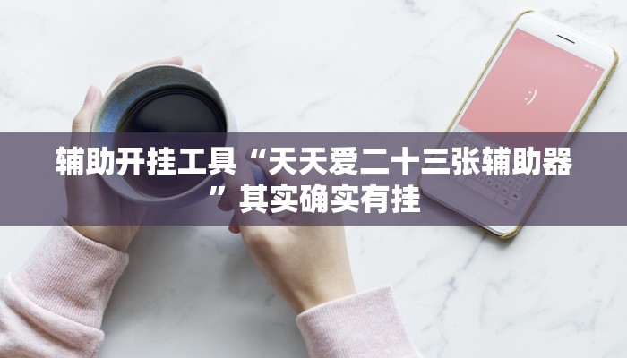 辅助开挂工具“天天爱二十三张辅助器”其实确实有挂
