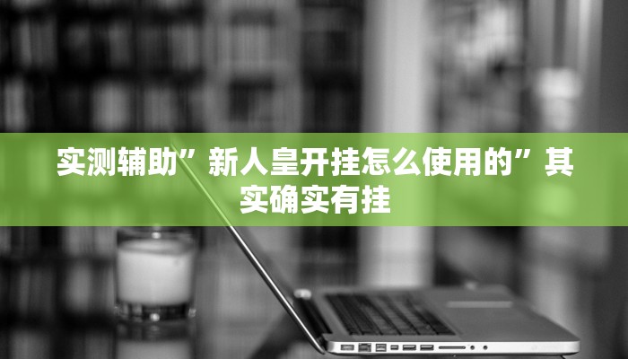 实测辅助”新人皇开挂怎么使用的”其实确实有挂
