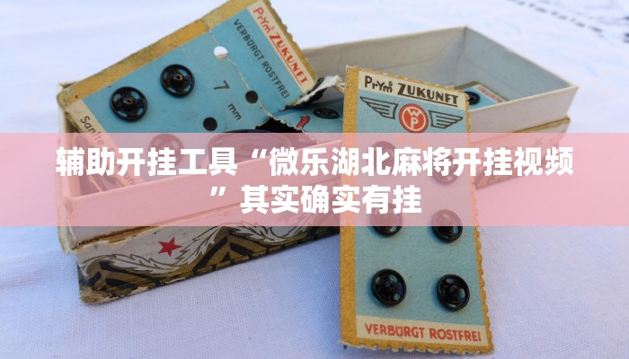 辅助开挂工具“微乐湖北麻将开挂视频”其实确实有挂