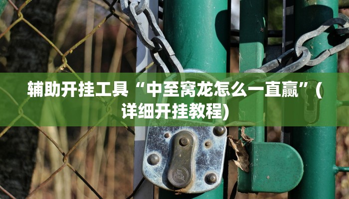 辅助开挂工具“中至窝龙怎么一直赢”(详细开挂教程)