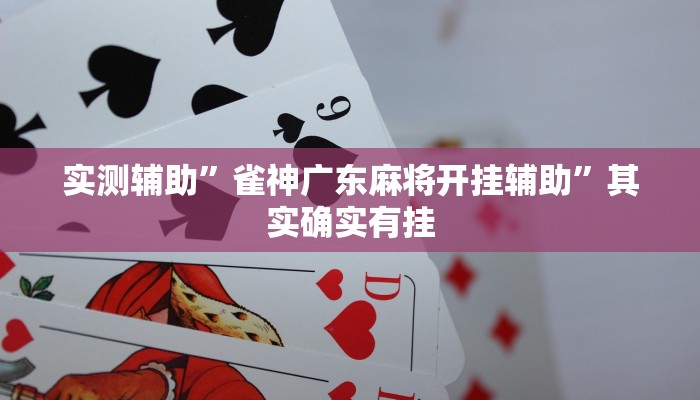 实测辅助”雀神广东麻将开挂辅助”其实确实有挂