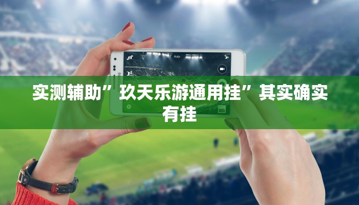 实测辅助”玖天乐游通用挂”其实确实有挂