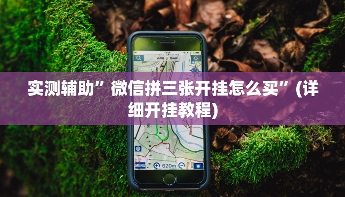 实测辅助”微信拼三张开挂怎么买”(详细开挂教程)