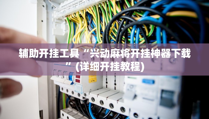 辅助开挂工具“兴动麻将开挂神器下载”(详细开挂教程)