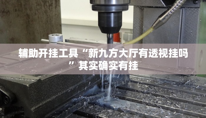 辅助开挂工具“新九方大厅有透视挂吗”其实确实有挂