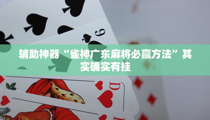辅助神器“雀神广东麻将必赢方法”其实确实有挂