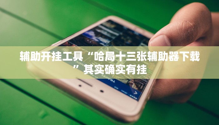 辅助开挂工具“哈局十三张辅助器下载”其实确实有挂
