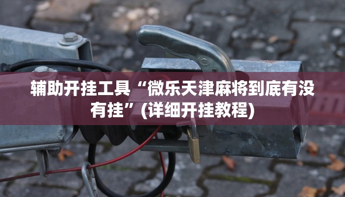 辅助开挂工具“微乐天津麻将到底有没有挂”(详细开挂教程)