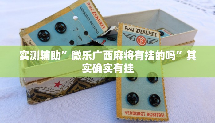 实测辅助”微乐广西麻将有挂的吗”其实确实有挂