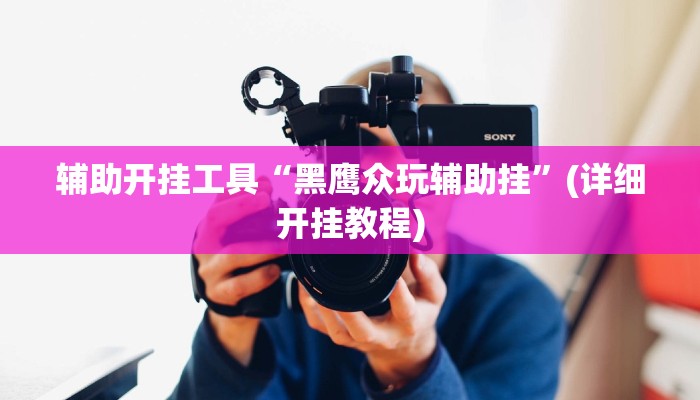 辅助开挂工具“黑鹰众玩辅助挂”(详细开挂教程)