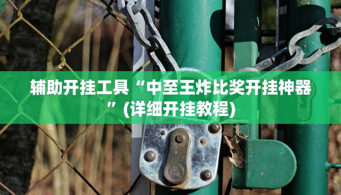 辅助开挂工具“中至王炸比奖开挂神器”(详细开挂教程)