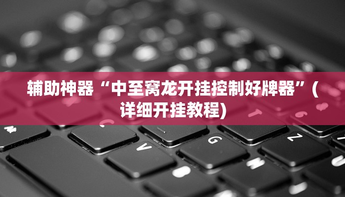 辅助神器“中至窝龙开挂控制好牌器”(详细开挂教程)