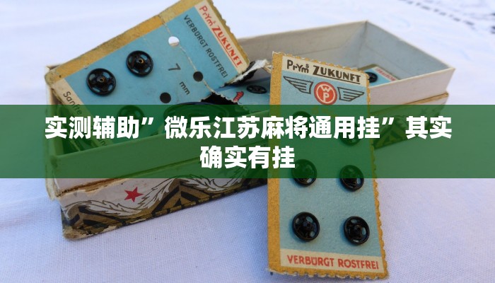 实测辅助”微乐江苏麻将通用挂”其实确实有挂