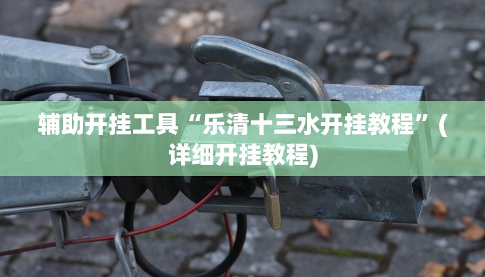 辅助开挂工具“乐清十三水开挂教程”(详细开挂教程)