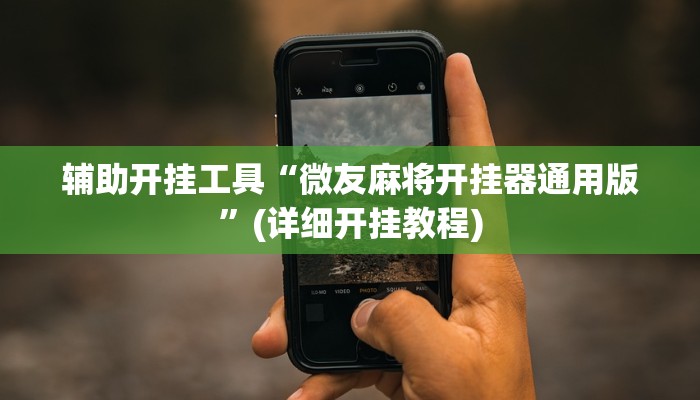 辅助开挂工具“微友麻将开挂器通用版”(详细开挂教程)
