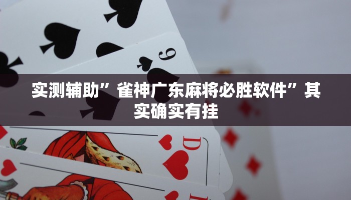 实测辅助”雀神广东麻将必胜软件”其实确实有挂