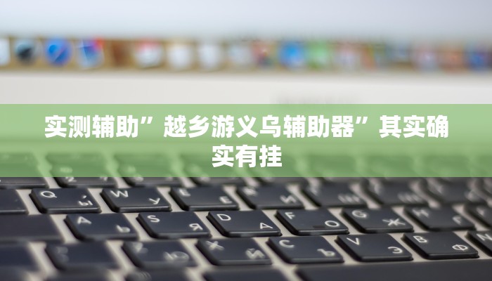 实测辅助”越乡游义乌辅助器”其实确实有挂