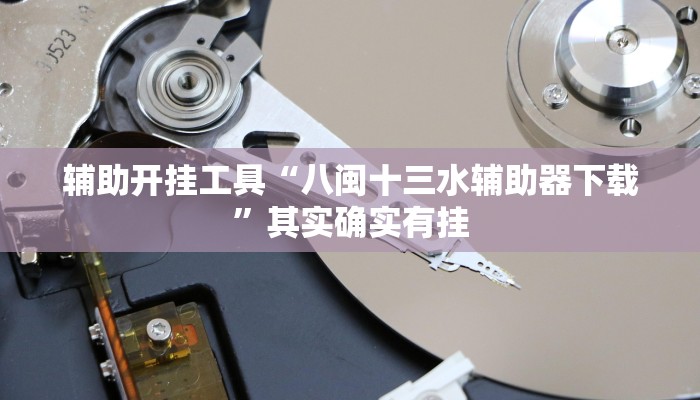 辅助开挂工具“八闽十三水辅助器下载”其实确实有挂