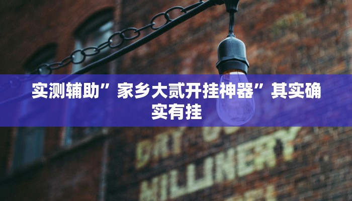 实测辅助”家乡大贰开挂神器”其实确实有挂