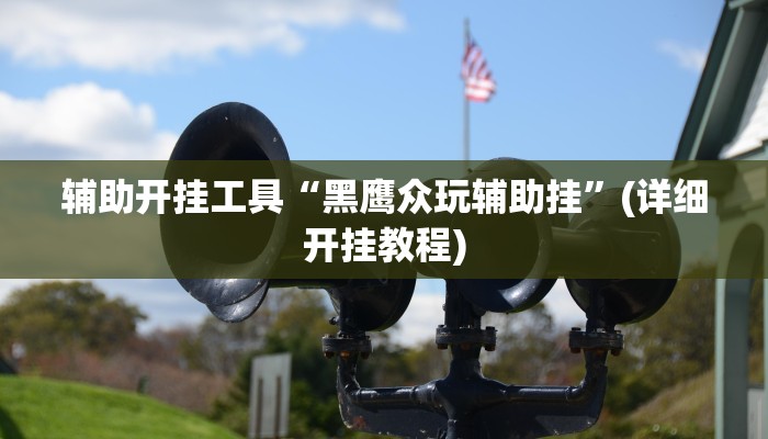辅助开挂工具“黑鹰众玩辅助挂”(详细开挂教程)
