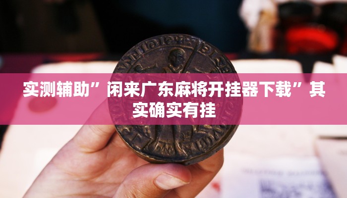 实测辅助”闲来广东麻将开挂器下载”其实确实有挂