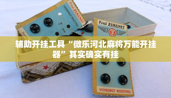 辅助开挂工具“微乐河北麻将万能开挂器”其实确实有挂