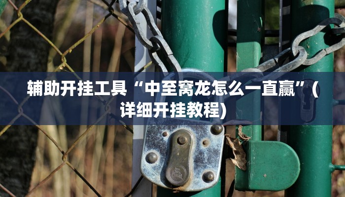 辅助开挂工具“中至窝龙怎么一直赢”(详细开挂教程)