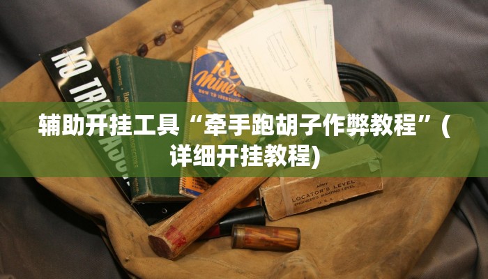 辅助开挂工具“牵手跑胡子作弊教程”(详细开挂教程)